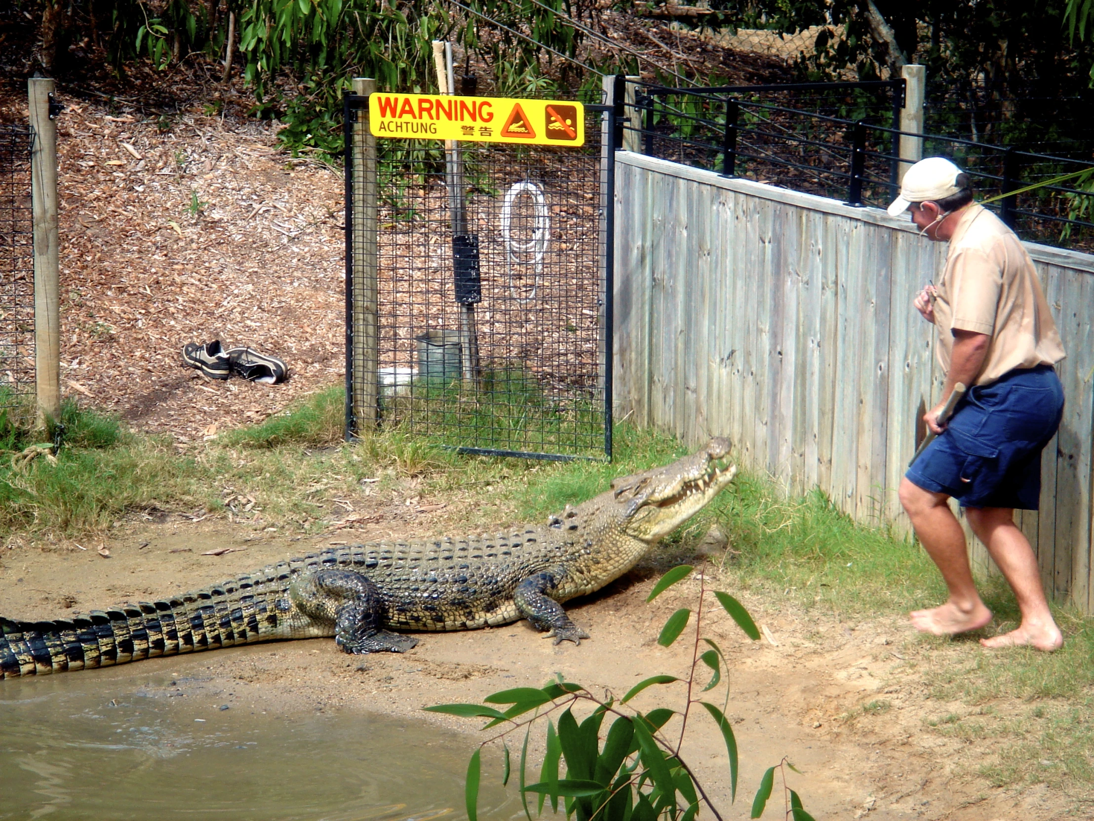 a person standing next to an alligator in the dirt