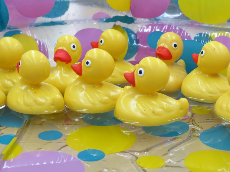 the rubber ducks are lined up in a row