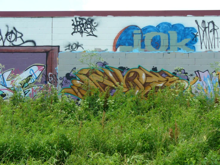 graffiti covered wall beside green grass and brick building