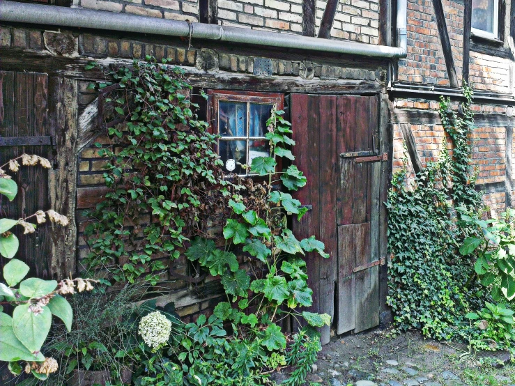 an old building with ivy growing over it