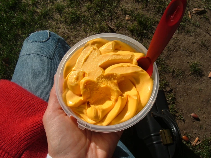 someone holding up a plastic bowl of ice cream that has sliced mangoes