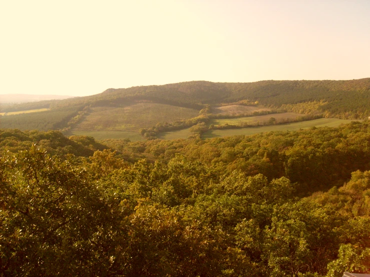 a grassy area in the distance is seen