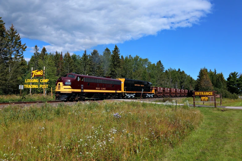 train engine passing through woods near a sign