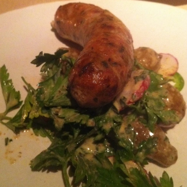 food sitting on top of a plate with a  dog and vegetables