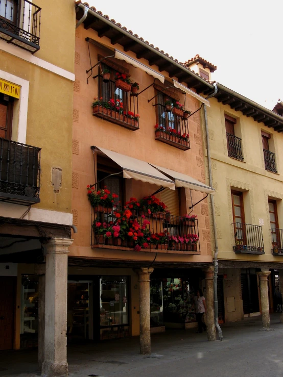 two buildings with red flowers in balconies