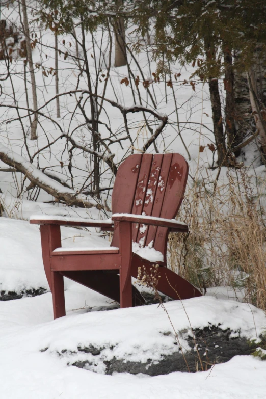 a red bench in the snow near many bushes and trees