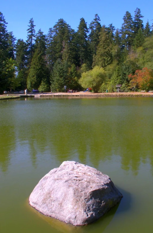 there is a large rock sitting in the middle of some water