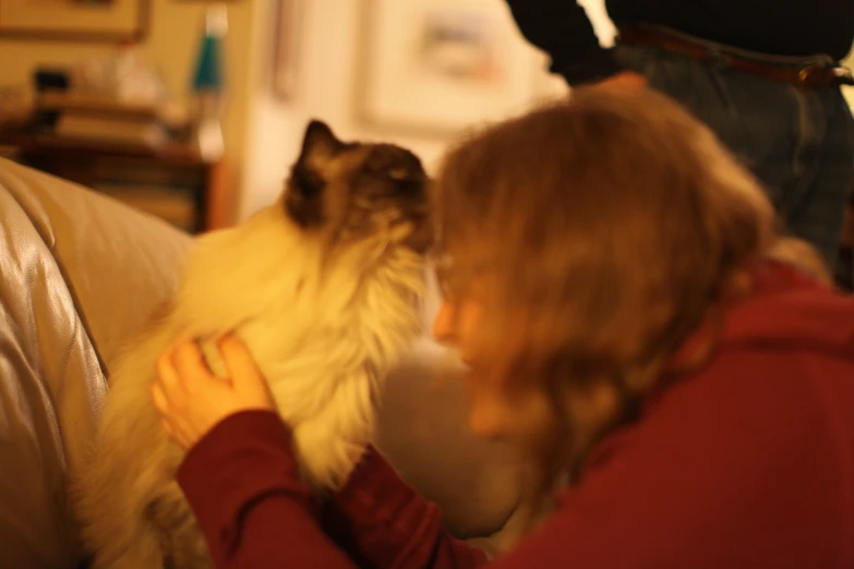 a woman that has a cat sitting on a couch