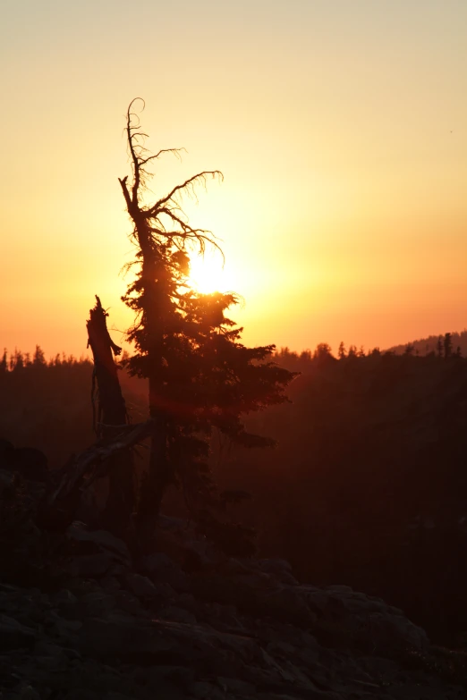 a person on a mountain bike at sunset