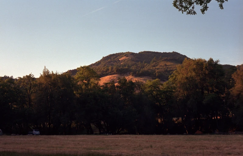 trees are in front of a mountainous area