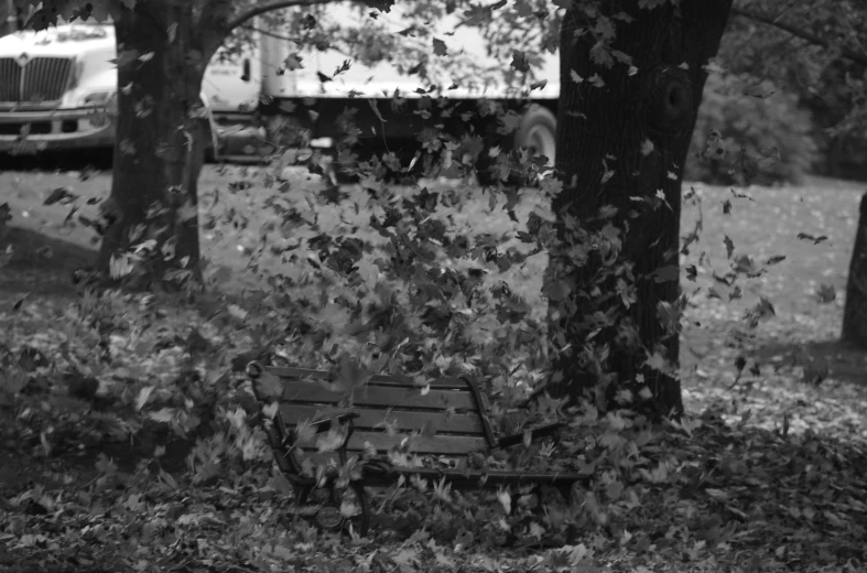 a park bench sitting under a tree in the middle of some grass