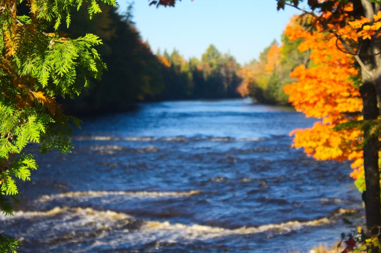 a beautiful river next to some yellow, orange, and red trees