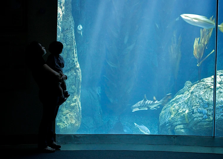 a man is looking out into the ocean under a glass