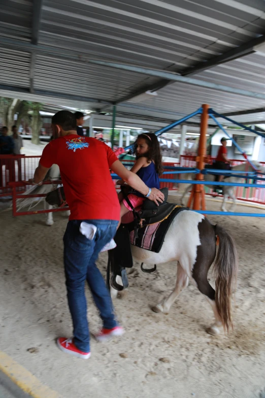 an image of a person sitting on a horse at an exhibit