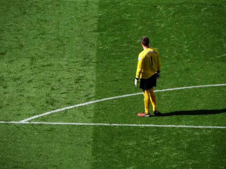 a person in a soccer uniform standing on a green field