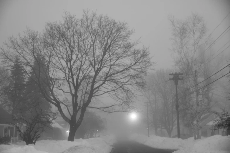 a street with some snow on the side and trees in the back