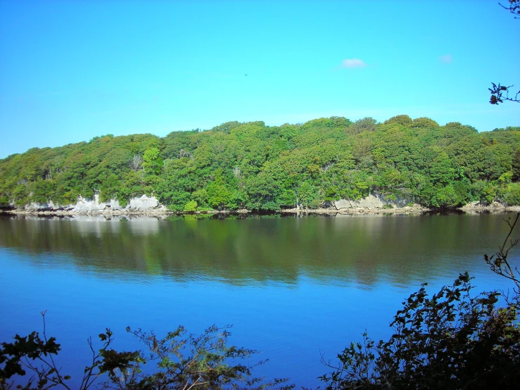 a lake surrounded by trees with a blue sky