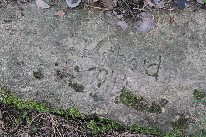 a moss covered rock with graffiti that reads dad