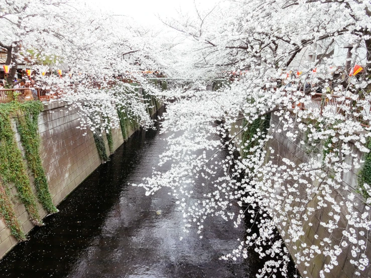 there is an image of spring on the water