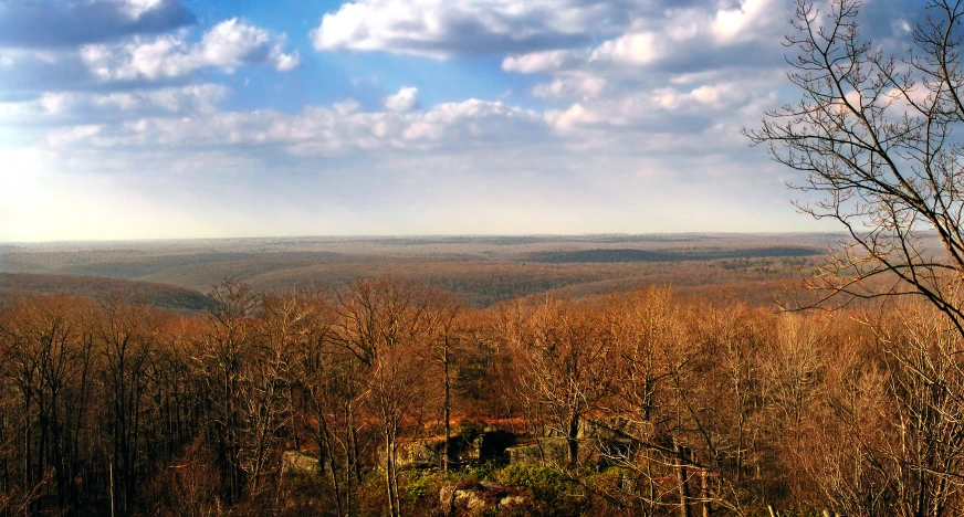 a blue sky with clouds over a forest