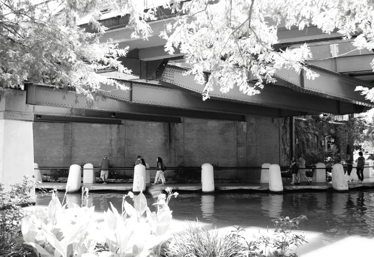 people walking through the park beneath a bridge