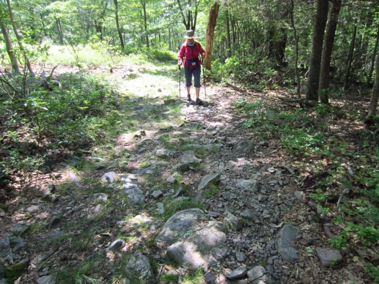 a person standing on top of a dirt road near a forest