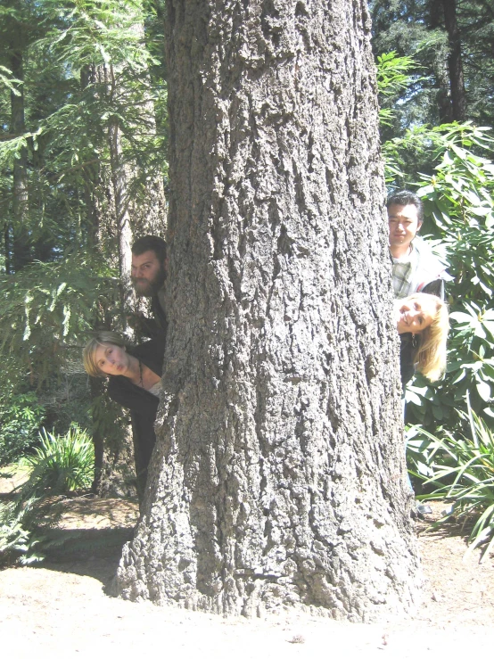 some people playing in a tree with a little girl on the other side