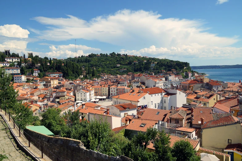 some buildings in a very large area by water