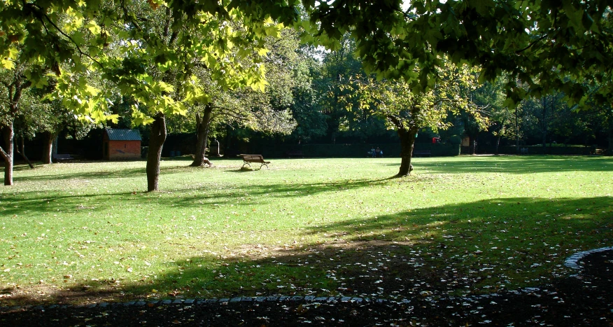 some deer in the grass and some trees