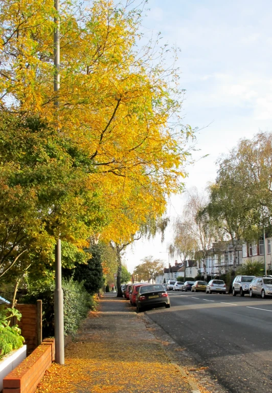 an autumnal town with lots of cars parked in the front