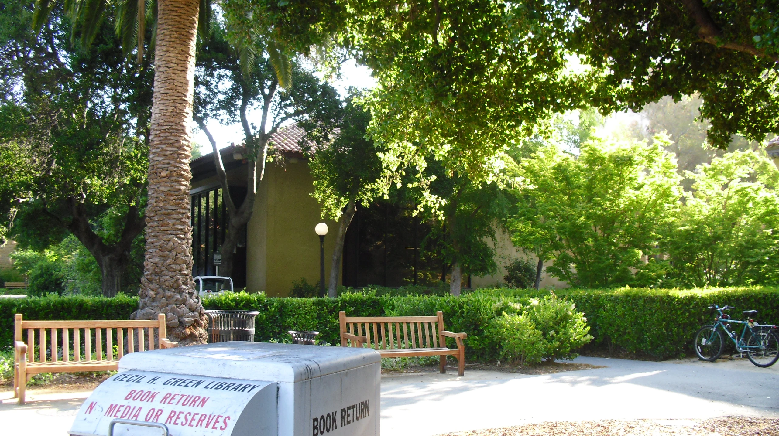 a number of benches and trees near one another