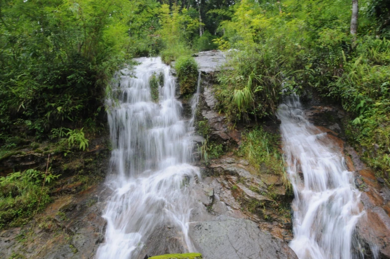 a waterfall surrounded by tall trees and greenery