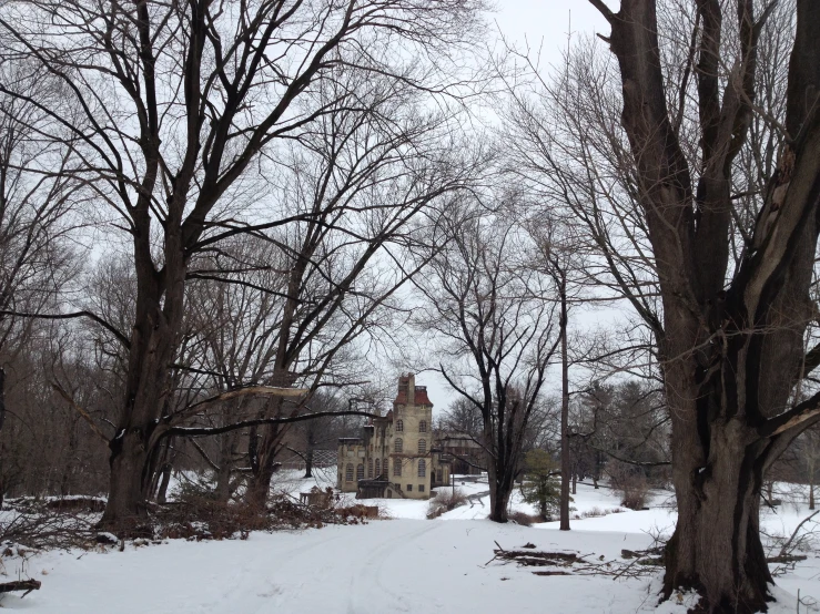 a snowy path between trees and a building