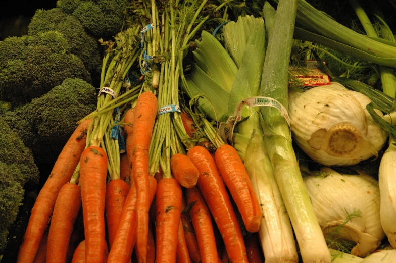 carrots, broccoli, garlic and celery piled together