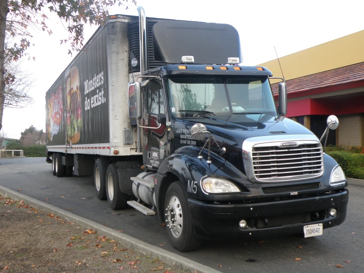 large semi truck parked along the side of the road