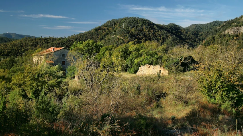 a house in the middle of a forest