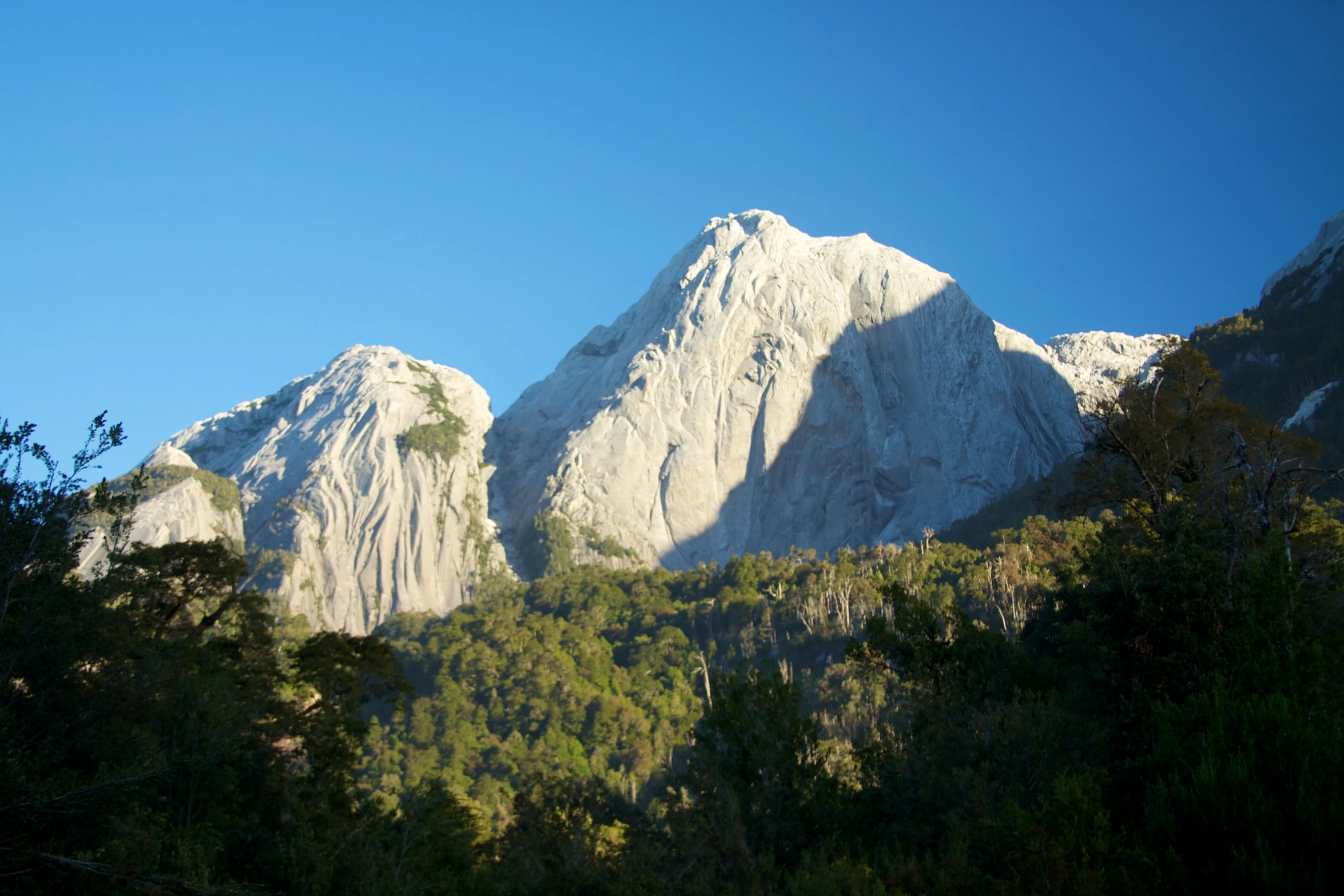 a mountain side with trees in the foreground