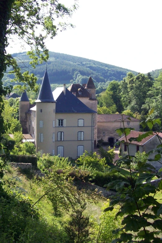 a castle in the middle of trees next to the grass