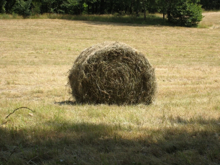 a round bale of hay sitting on top of a dry grass field