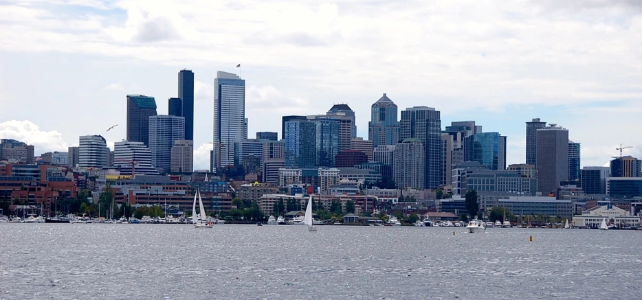 a skyline is seen over a body of water