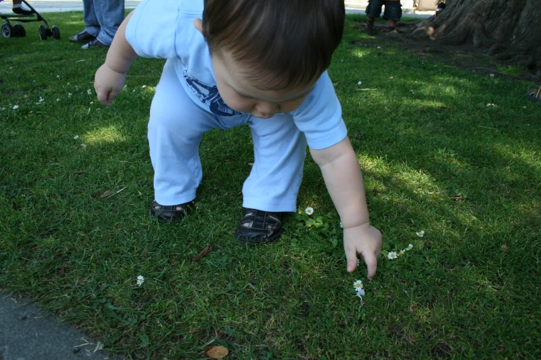 a young child reaches down to inspect the small flowers