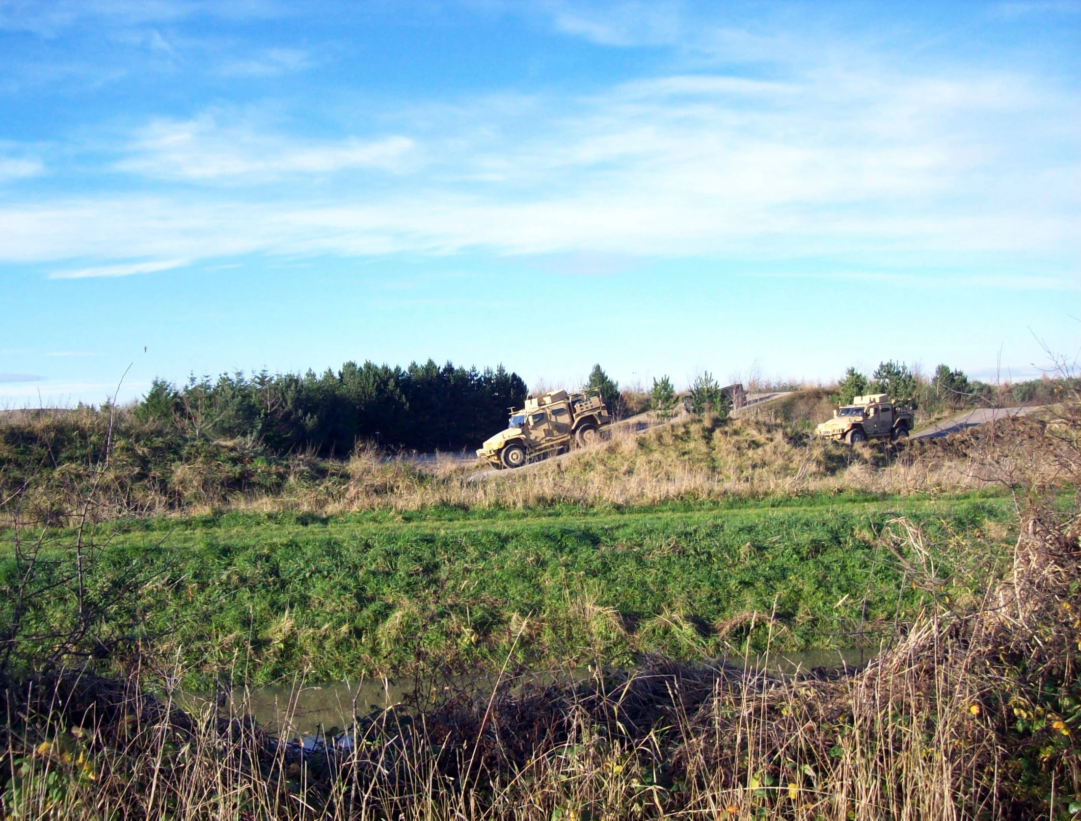 vehicles and trucks on the road near trees