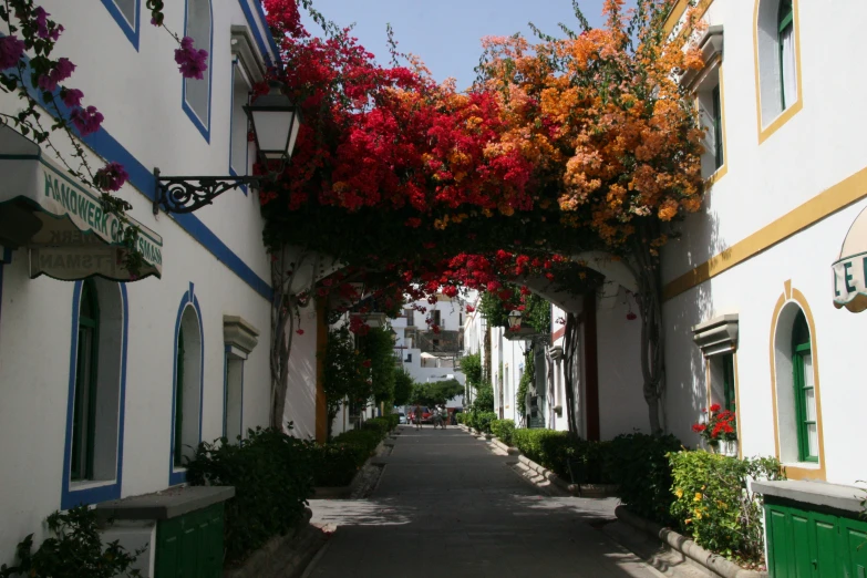 there are flowers hanging on this walkway between houses