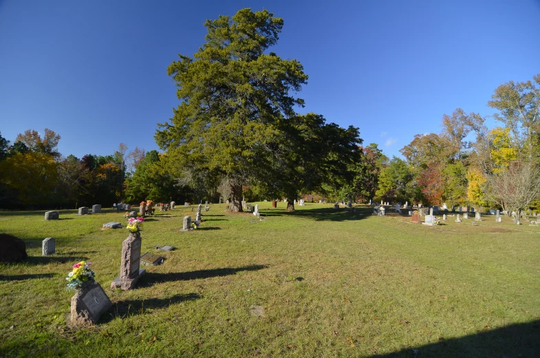 the graves are empty in the grass and trees