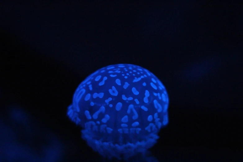 a large blue jellyfish glowing blue in the dark