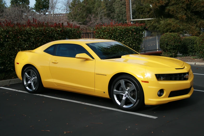 yellow camaro in a parking lot near bushes