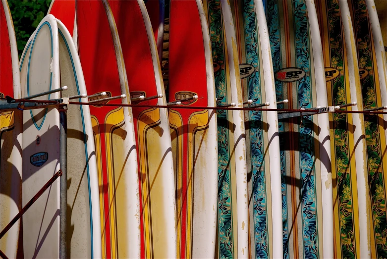 a set of surfboards is lined up next to each other