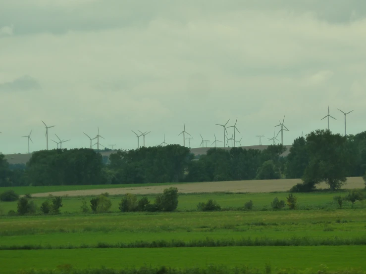 a large field has many wind turbines in it