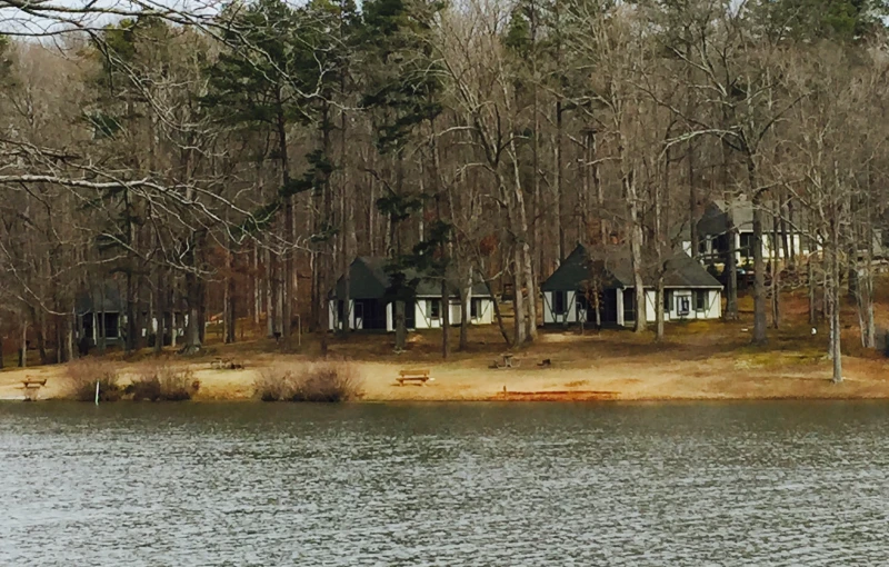 a body of water with a building and trees in the background