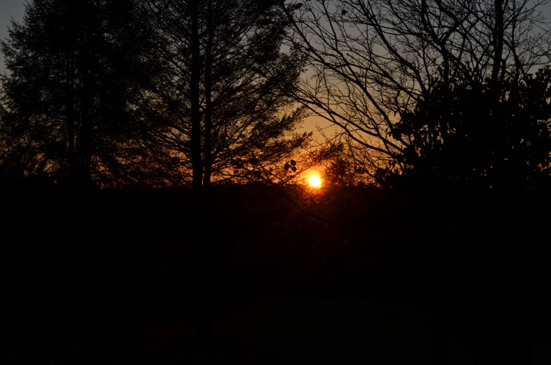 the sun shining through the trees during sunset